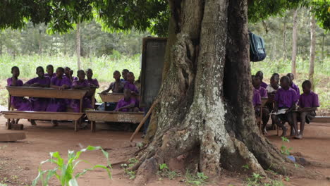 Kinder-Besuchen-Einen-Unterricht-Im-Freien-Unter-Einem-Großen-Baum-In-Kampala,-Uganda