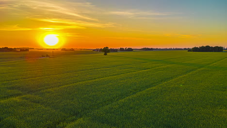 Luftbild-Hyperlapse-über-üppigen-Grünen-Feldern,-Farbenfroher-Sonnenuntergang-Auf-Dem-Land