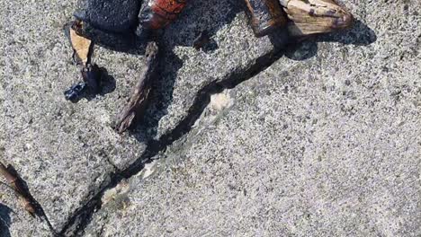 black-oil-covered-marine-debris,-flotsam-that-washed-up-on-the-shore-of-Lazarus-Island-in-Singapore-due-to-an-oil-spill