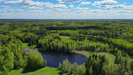 Aerial-drone-shot-of-a-beautiful-pine-forest-with-a-lake-and-blue-sky