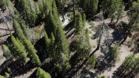 Deadman-creek-surrounded-by-lush-green-trees-in-california,-usa,-aerial-view