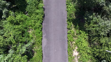 An-aerial-top-down-view-over-a-narrow,-paved-road-with-green-trees-and-bushes-on-either-side