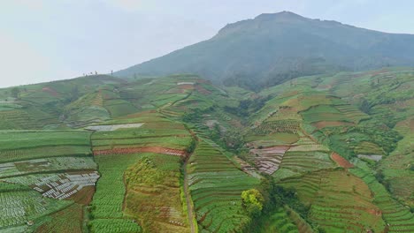 Vista-De-Drones-De-Las-Laderas-De-Las-Montañas-Llenas-De-Plantaciones.