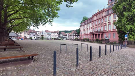 Erbach-Palace-in-Germany,-slow-motion-video