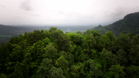 Vuela-Sobre-Un-Denso-Bosque-De-Matorrales-Sobre-La-Aldea-De-Sidemen-En-Bali,-Indonesia