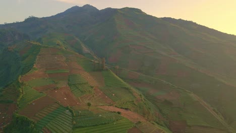 Luftaufnahme-Von-Bergen,-Die-Bei-Sonnenaufgang-In-Landwirtschaftliche-Flächen-Umgewandelt-Wurden