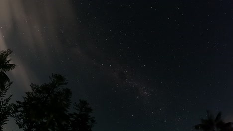 Timelapse-De-La-Vía-Láctea-Del-Cielo-Nocturno-Estrellado-Orbita-Sobre-Palmeras-Tropicales