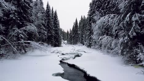 Drohnenaufnahmen-Eines-Ruhigen,-Schneebedeckten-Waldes-In-Norwegen,-Die-Einen-Gefrorenen-Fluss-Zeigen,-Der-Sich-Durch-Die-Bäume-Schlängelt