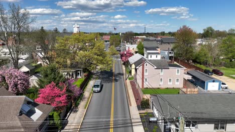 Colorful-trees-growing-on-main-street-of-charming-small-city-in-USA