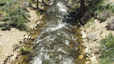 Una-Vista-Panorámica-Del-Arroyo-Deadman-Que-Fluye-A-Través-De-Un-Exuberante-Bosque-De-Pinos-En-California-En-Un-Día-Soleado