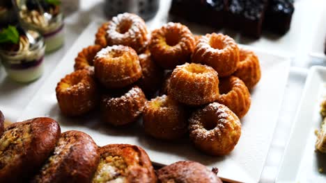 Sweet-mini-bundt-cakes-with-powdered-sugar-on-white-plate,-Czech-Republic
