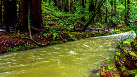 Timelapse-of-two-people-on-a-wooden-pedestrian-path-in-the-middle-of-a-green-forest-with-a-flowing-river-in-the-foreground