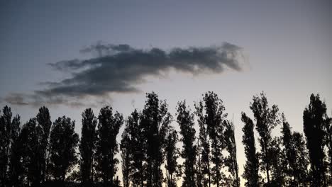 Hohe-Bäume-Als-Silhouette-Vor-Einem-Farbenprächtigen-Sonnenuntergangshimmel