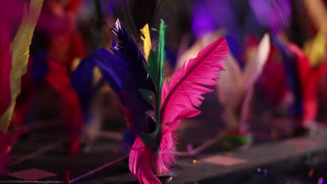 Close-up-of-brightly-colored-feathers-used-for-crafts