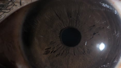 human-brown-eye-extreme-close-up-view