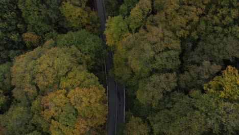 Eine-Luftaufnahme-Eines-Dichten-Walddachs-Mit-Sattem-Grünem-Laub-Im-Herbst