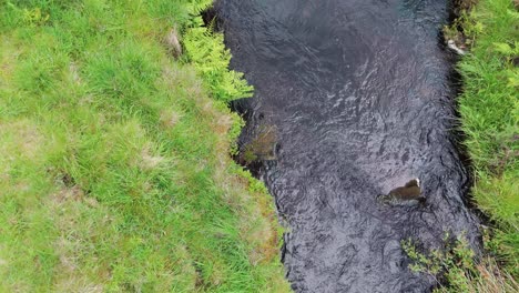 Draufsicht-Auf-Den-Fluss-Dane,-Der-Durch-Einen-Schmalen-Weg-Mit-Grasfeldern-Auf-Beiden-Seiten-Des-Dane-Valley-In-England-Fließt