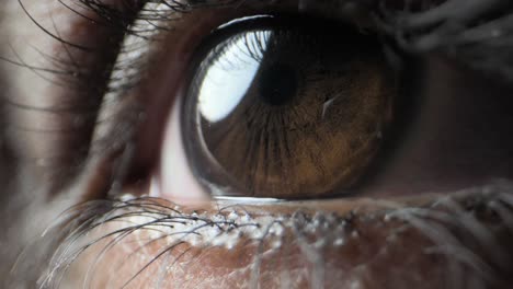 human-the-eye-extreme-close-up-view