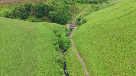 Aerial-shot-of-grass-covered-fields-in-Dane-Valley-during-daytime-in-UK