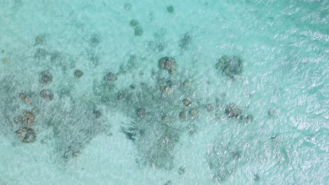 Perspectiva-De-Pájaro-Sobre-Los-Arrecifes-De-Coral-En-Los-Roques.