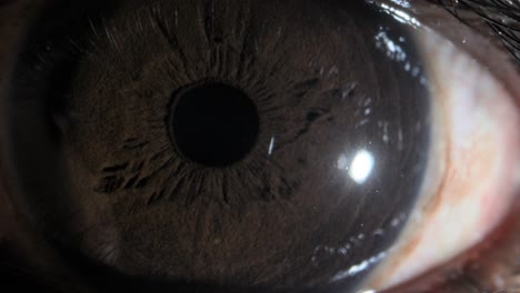 human-brown-eye-extreme-close-up-view