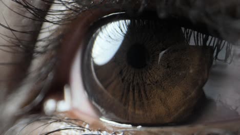 human-the-eye-extreme-close-up-view