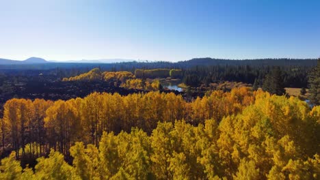 Drone-captures-the-vibrant-autumn-colors-of-trees-and-river-in-Central-Oregon-from-above