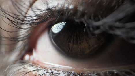 human-eye-extreme-close-up-view