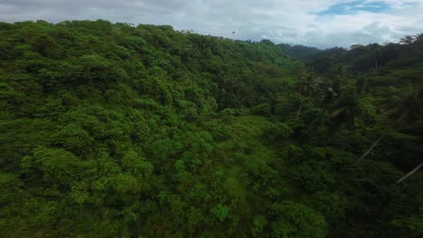 Above-lush-dense-woodland,-island-jungle-wilderness-habitat,-fpv-travel