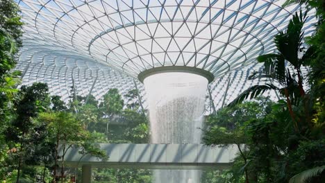 Waterfall-With-Steel-Glass-Roof-With-Rainforest-Trees-in-Jewel-Area,-Changi-Airport,-Singapore