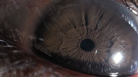 human-eye-extreme-close-up-view