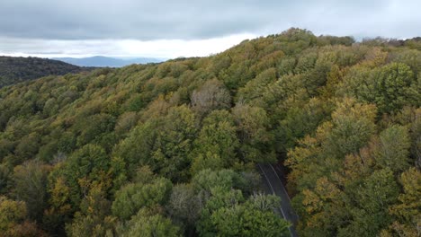 Eine-Luftaufnahme-Einer-Straße,-Die-Sich-Im-Herbst-Durch-Einen-Wald-Schlängelt