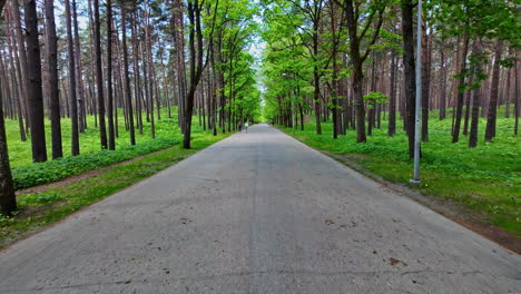 Mezaparks-in-Riga,-Latvia,-park-green-space-with-tall-tree-and-asphalt-path