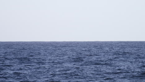 Wide-shot-with-horizon-splitting-the-screen-50-50