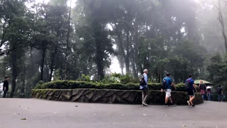 Time-lapse-of-Padmaja-Naidu-Himalayan-Zoological-Park,-Darjeeling