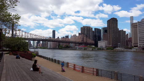 Woman-seated-overlooking-Manhattan-and-East-River-from-Roosevelt-Island