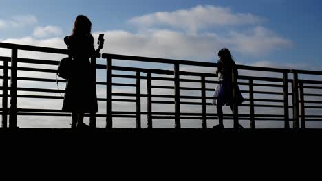 Video-De-Alto-Contraste-De-Una-Niña-Y-Su-Mamá-En-Un-Muelle-De-La-Playa.