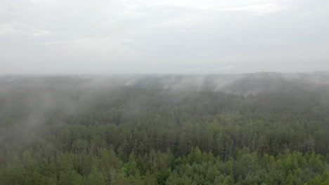 Nubes-Moviéndose-Lentamente-Sobre-Un-Bosque-Sombrío.