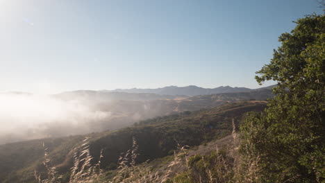 Hyper-Lapse-POV-going-down-pathway-at-Charmless-Wilderness-Park