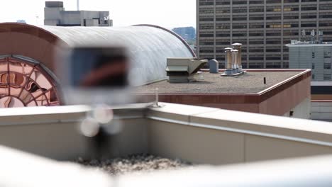 An-Action-Camera-Placed-On-The-Roof-Deck---rack-focus