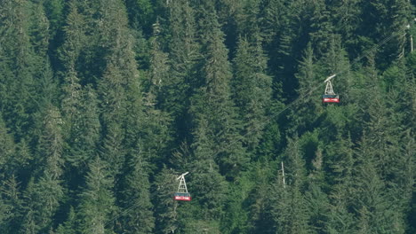 Red-mountainside-lifts-crossing-in-front-of-the-forest-near-Juneau-Alaska