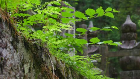 Nachmittag-In-Koyasan,-Japan