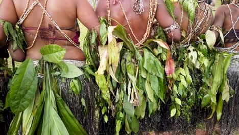 Backs-of-women-in-traditional-dress-and-grass-skirts,-Papua-New-Guinea