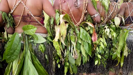 Espaldas-De-Mujeres-Con-Vestimenta-Tradicional-Y-Faldas-De-Pasto,-Papua-Nueva-Guinea