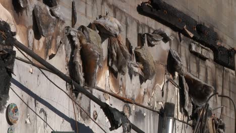 Camp-Fire-Destruction-Insulation-Blowing-in-Breeze-Among-Rubble