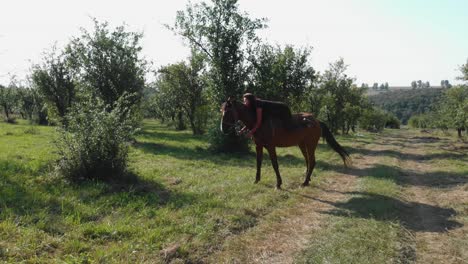 Girl-is-riding-a-horse-without-saddle-and-lie-on-horse-back-in-plum-trees-garden,-shot-by-rising-drone-,-Bulgaria