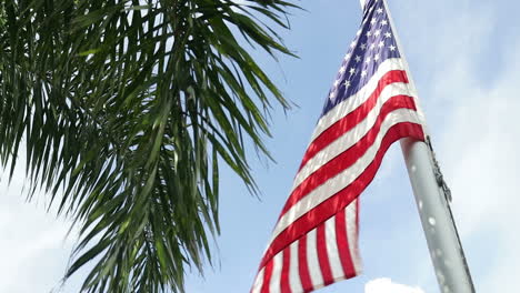 Mittlere-Aufnahme-Der-Amerikanischen-Flagge-Und-Einer-Palme