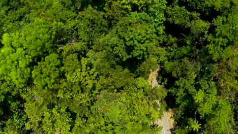 Slow-panning-overhead-shot-of-the-gorgeous-can-umanted-waterfall-in-Candijay,-Bohol,-Philippines