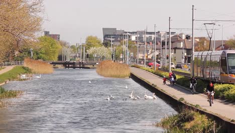 Wide-shot-of-commuters-on-the-tram-and-people-on-the-boardwalk-in-the-Canal-in-Dublin-City