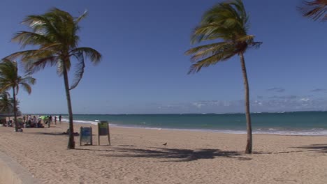 San-Juan-palm-trees-by-the-beach-and-a-few-people-on-the-beach